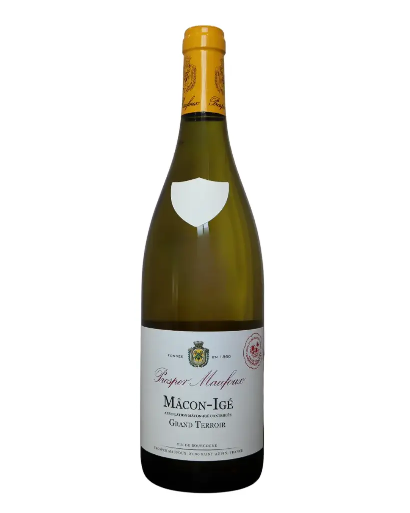 Macon Ige 2023 Prosper Maufoux