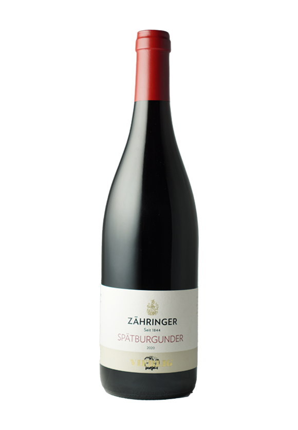 Spätburgunder Vierlig trocken 2020 Zahringer Baden