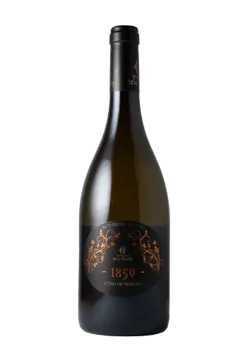 1850 Syrah Eric Gelly C. de Thongue IGP