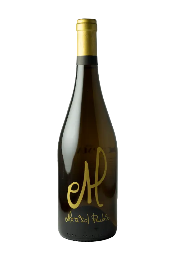 Cipma II 2022 Marisol Rubio Toledo